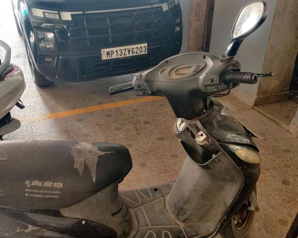 Urgent Sell / Scotty For Sell