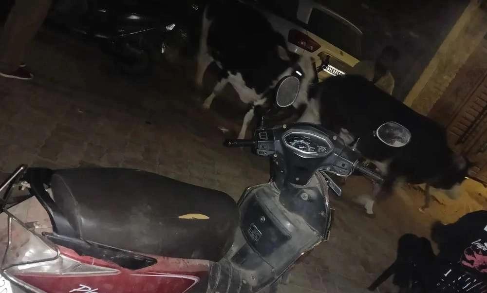 Not using the scooty