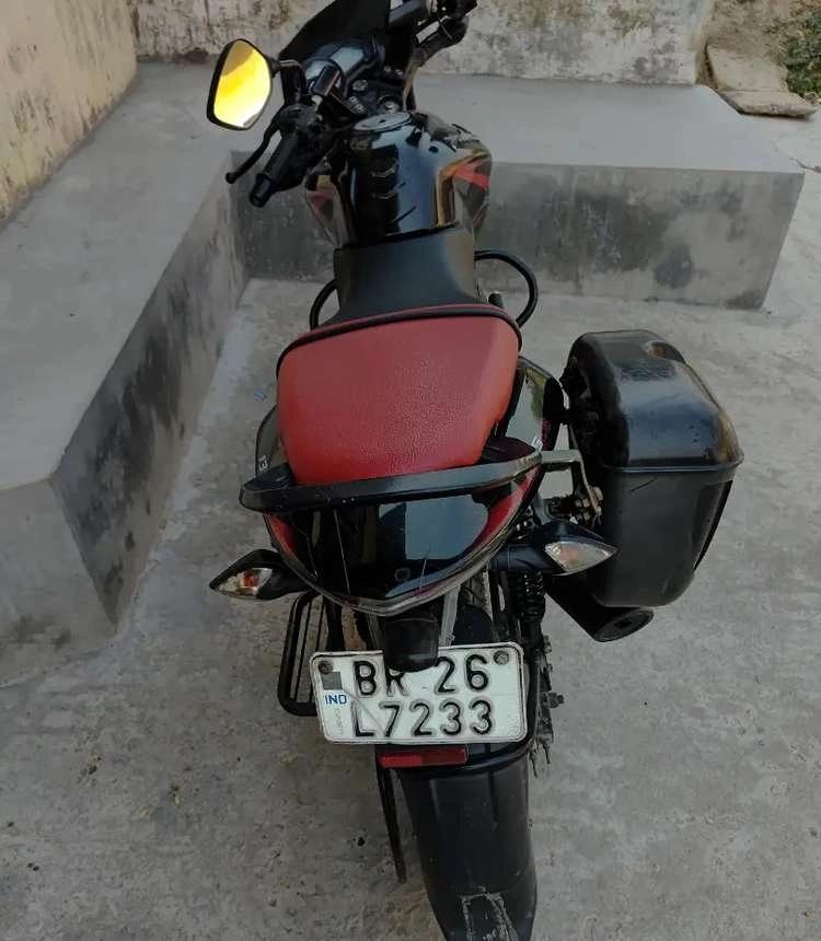 Pulsar 135