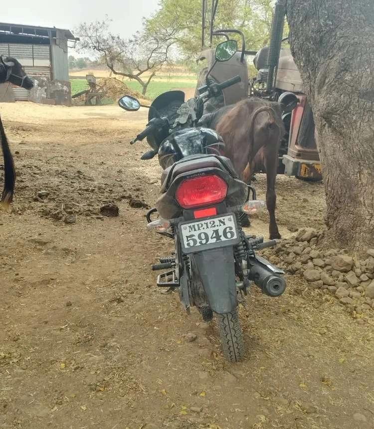 Honda shine good condition