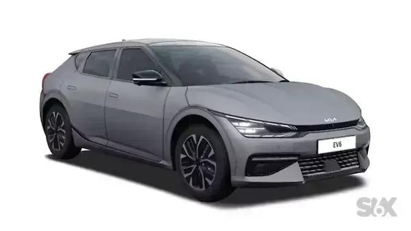 Wolf Grey Wolf Grey