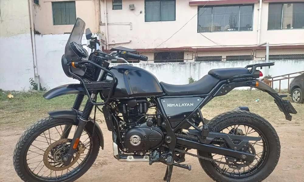 Himalaya for immediate sale